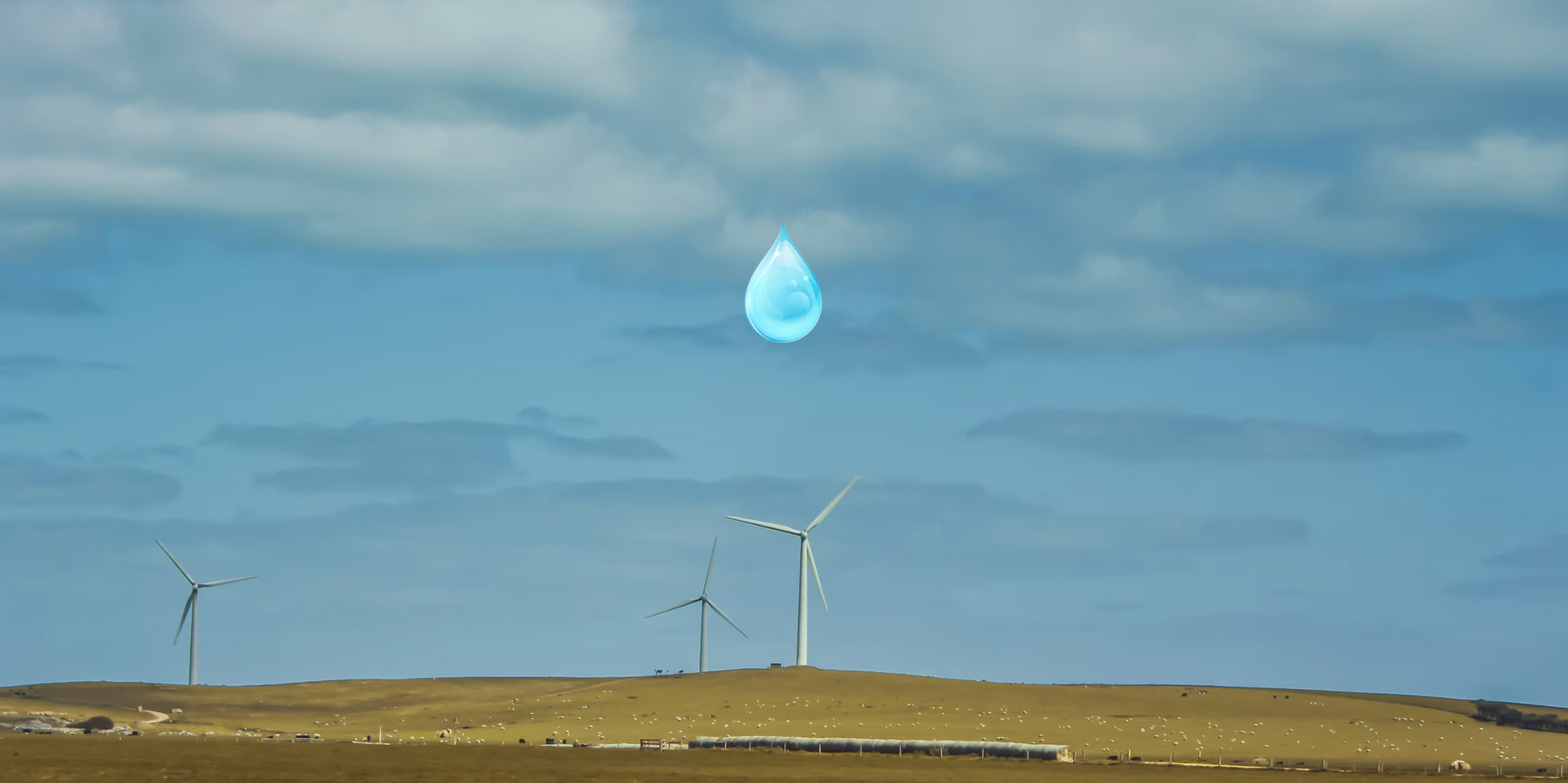 杭州储源化工有限公司